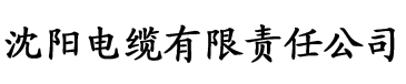 2017免费理论片电缆厂logo